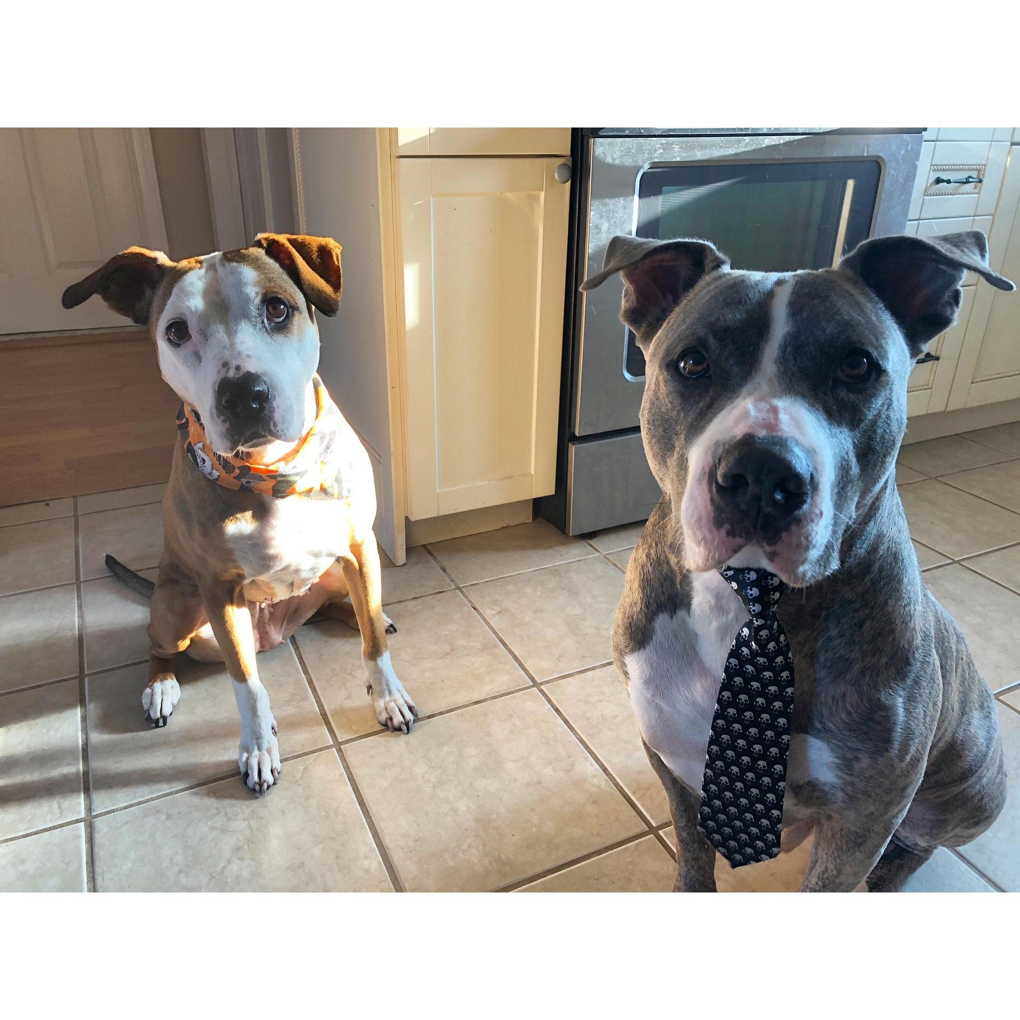 Tish & Duke - the dynamic duo!