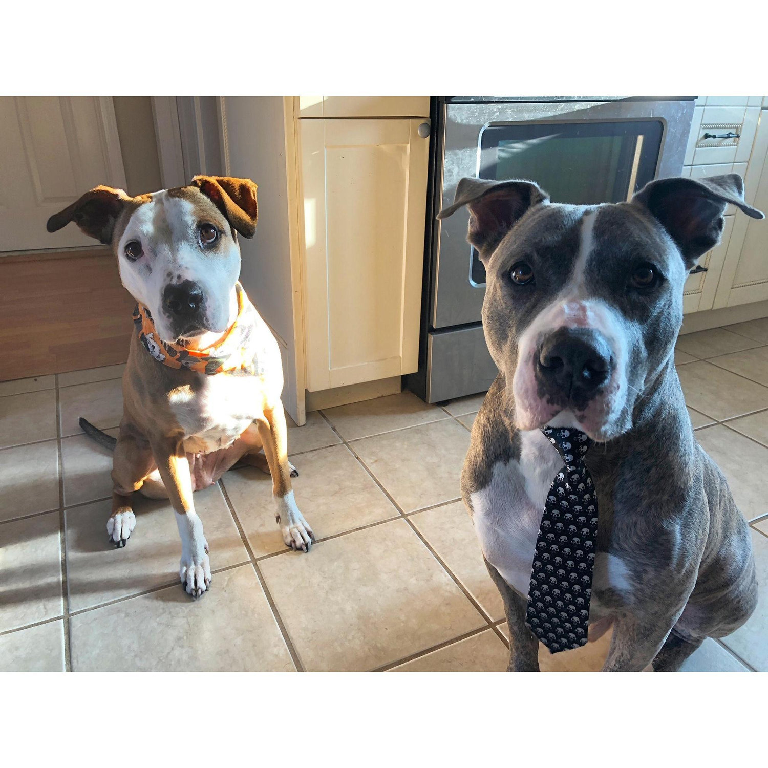Tish & Duke - the dynamic duo!