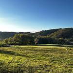 Rando dans le bois / Hike in the woods