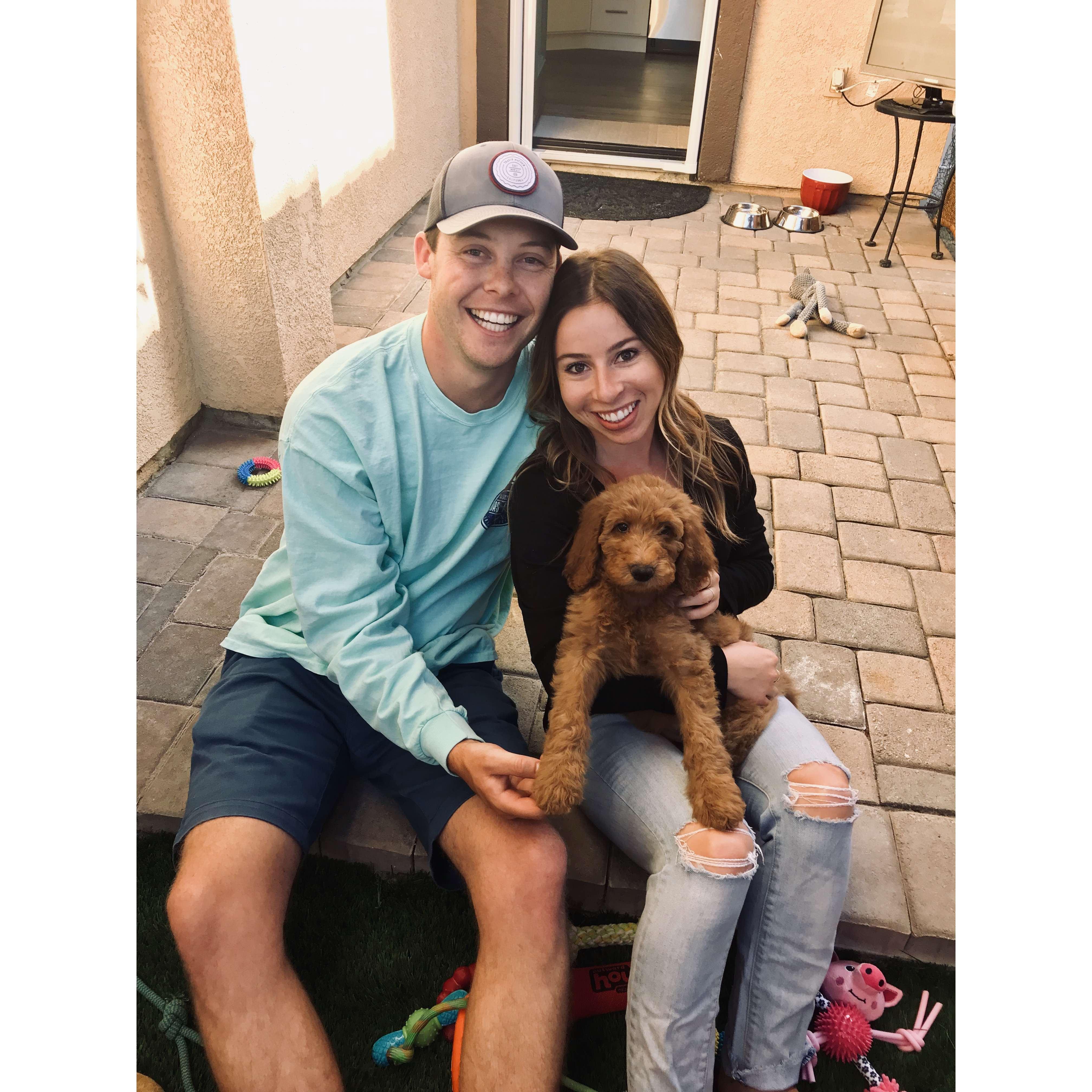 May 2019- Added Woody to the family!