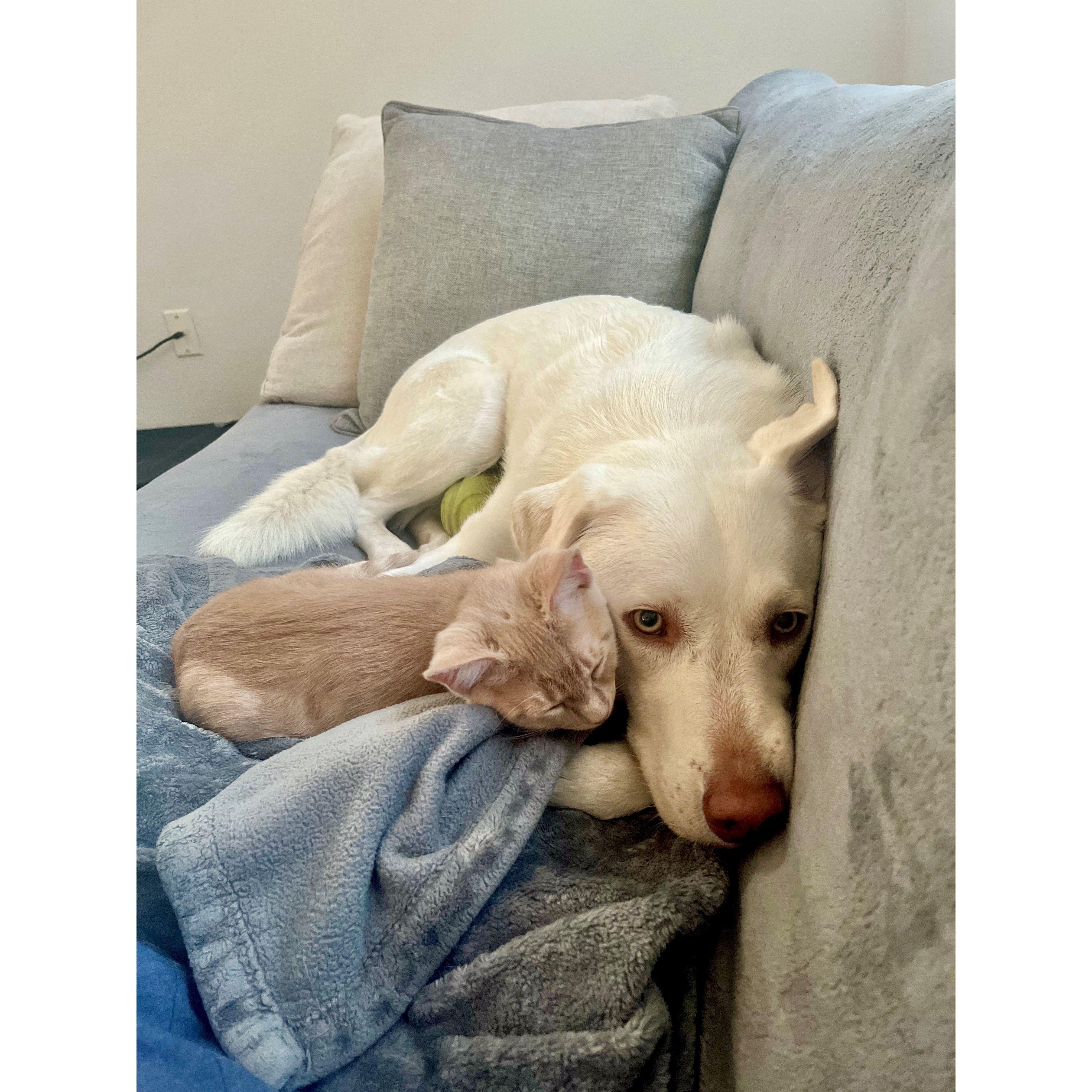 Luna and Frenkie, March 2022.