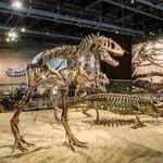 Natural History Museum of Utah