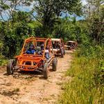 Wild Tiger Buggys Excursion