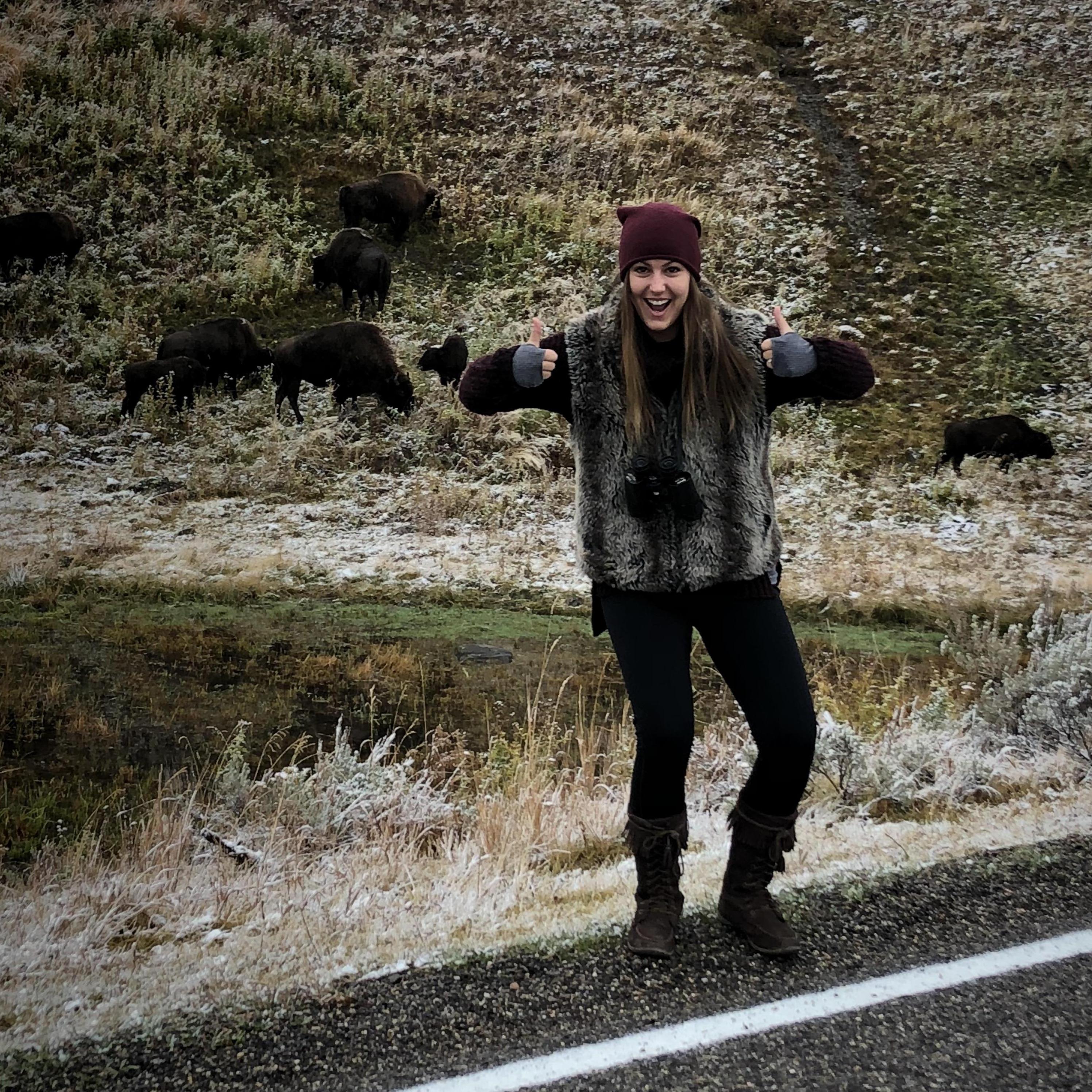 We saw hundreds of buffalo out west. But none as special as this crazy one we passed along the side of the road.