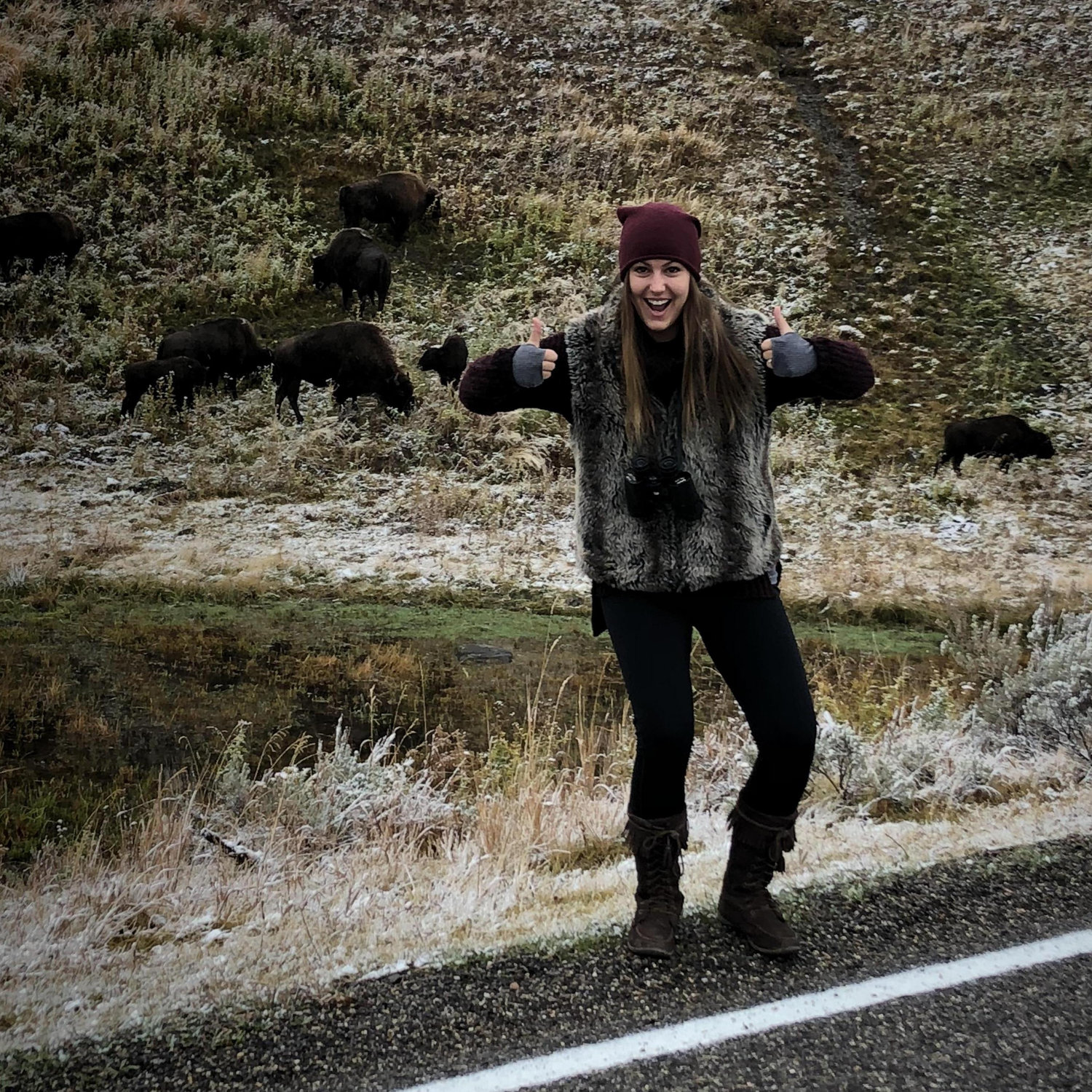 We saw hundreds of buffalo out west. But none as special as this crazy one we passed along the side of the road.