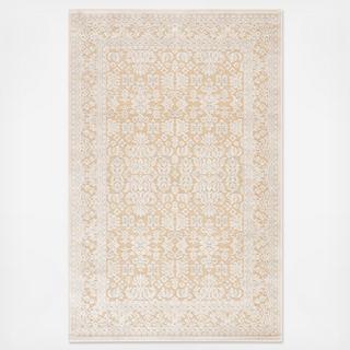 Transitional Oriental Regal Rug