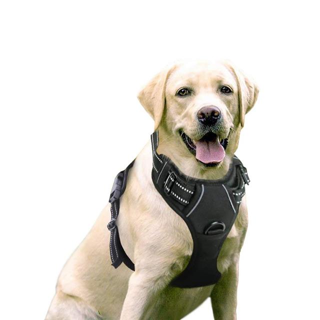 Rabbitgoo Dog Harness No-Pull Pet Harness Adjustable Outdoor Pet Vest 3M Reflective Oxford Material Vest for Dogs Easy Control for Small Medium Large Dogs