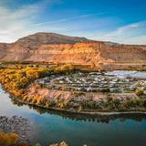 Palisade