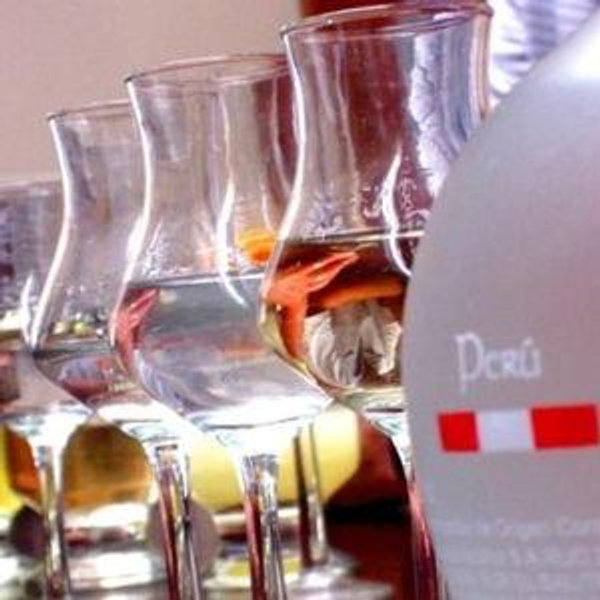 Wine & Pisco Pairing at a Vineyard near Urubamba