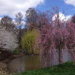 University of Illinois Arboretum