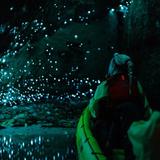 Glow Worm Cave Tours