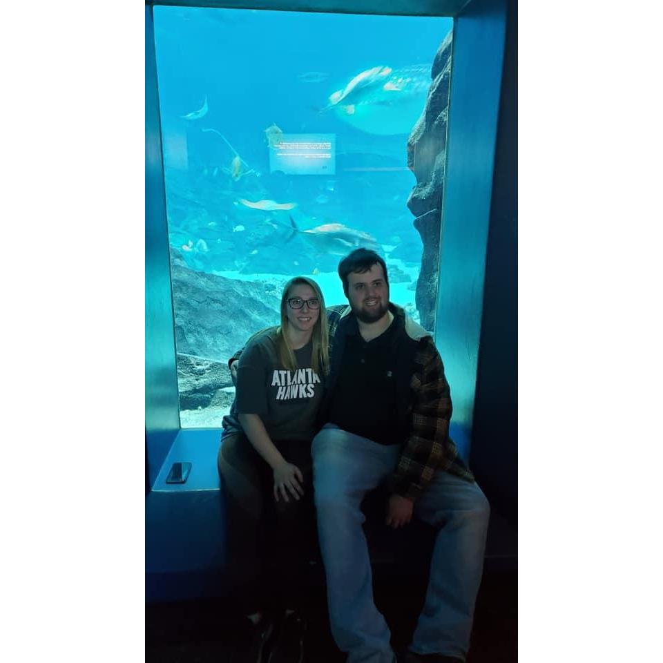 Here we are at the Georgia Aquarium.