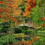 Japanese Garden