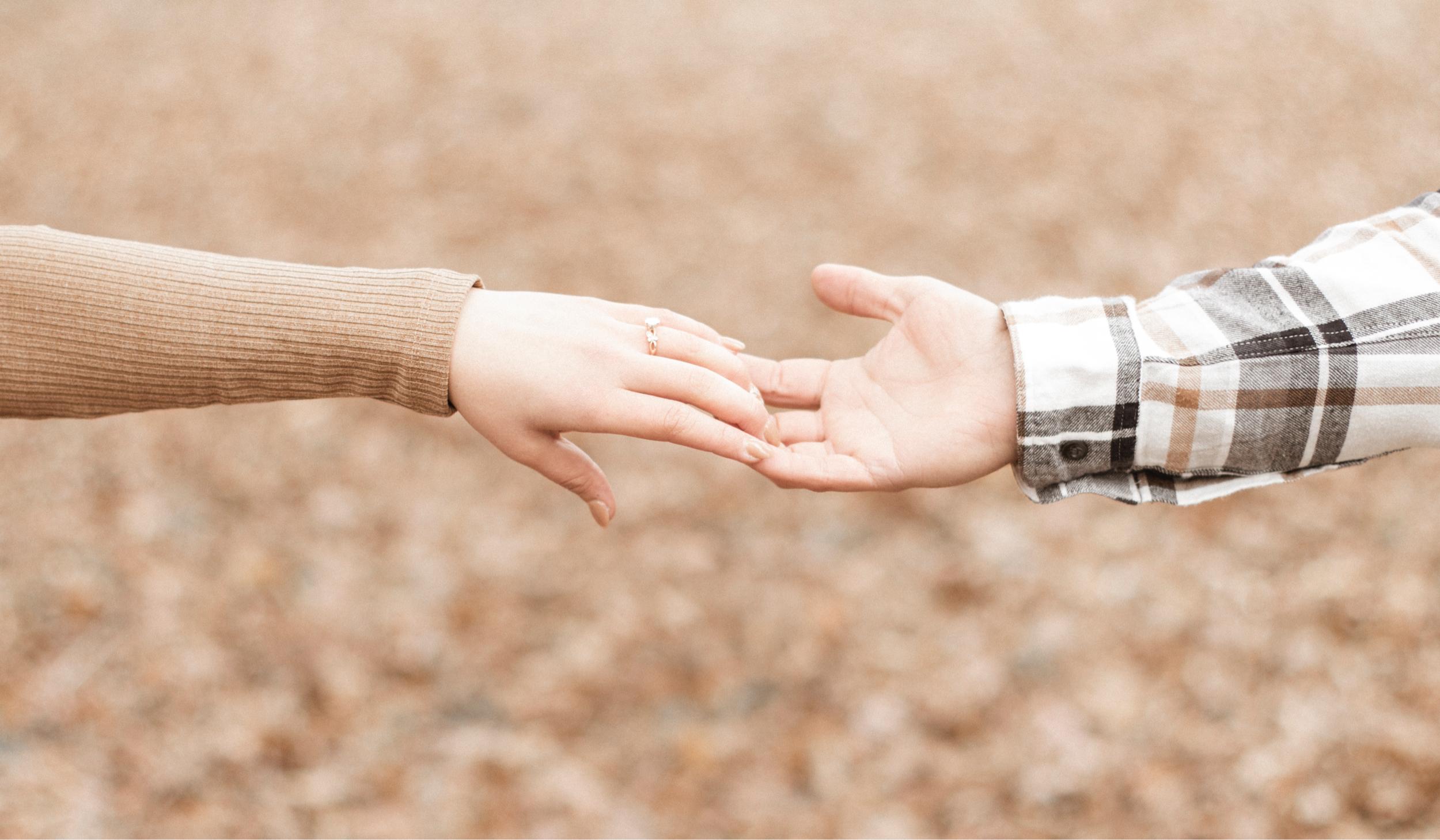 Hero Slideshow Image 4