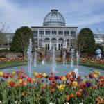 Lewis Ginter Botanical Garden