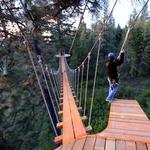 Timberline Adventures
