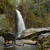 Drift Creek Falls Trail 1378 (Trail Head)