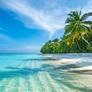 Vow Renewal Cash Fund