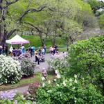 Roslindale (featuring West Roxbury)