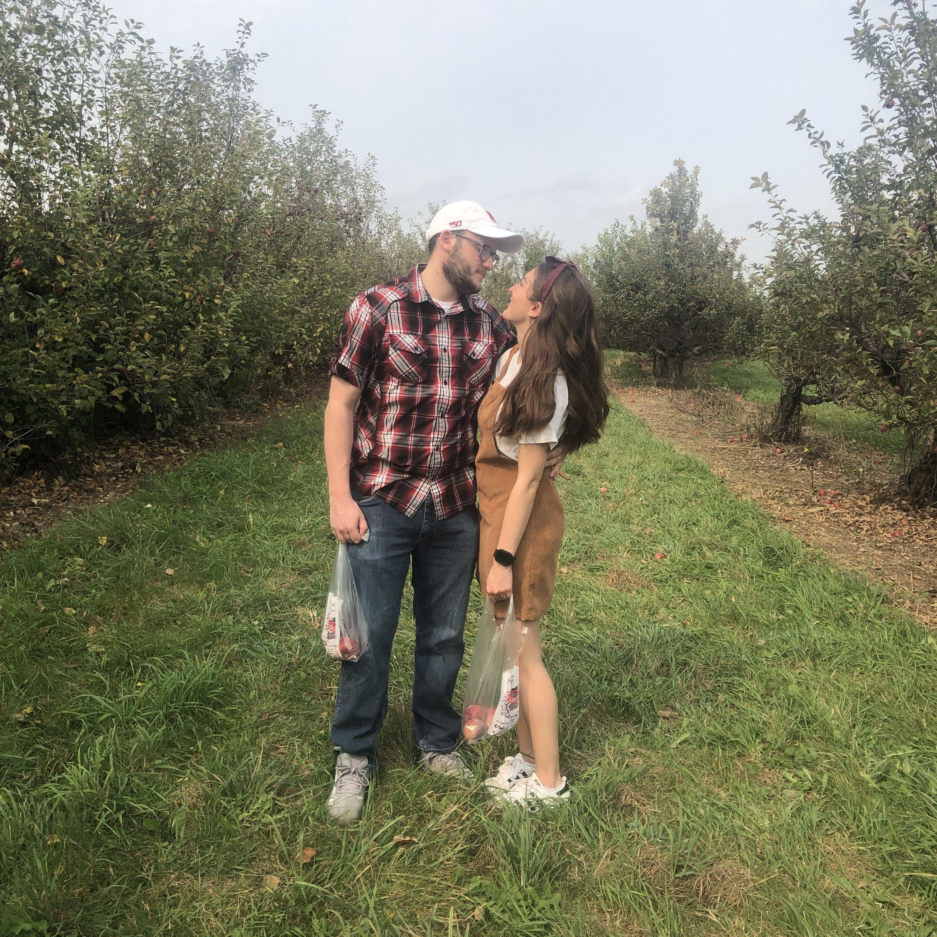Apple picking dates