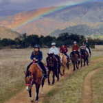Ojai Valley Trail Riding Company