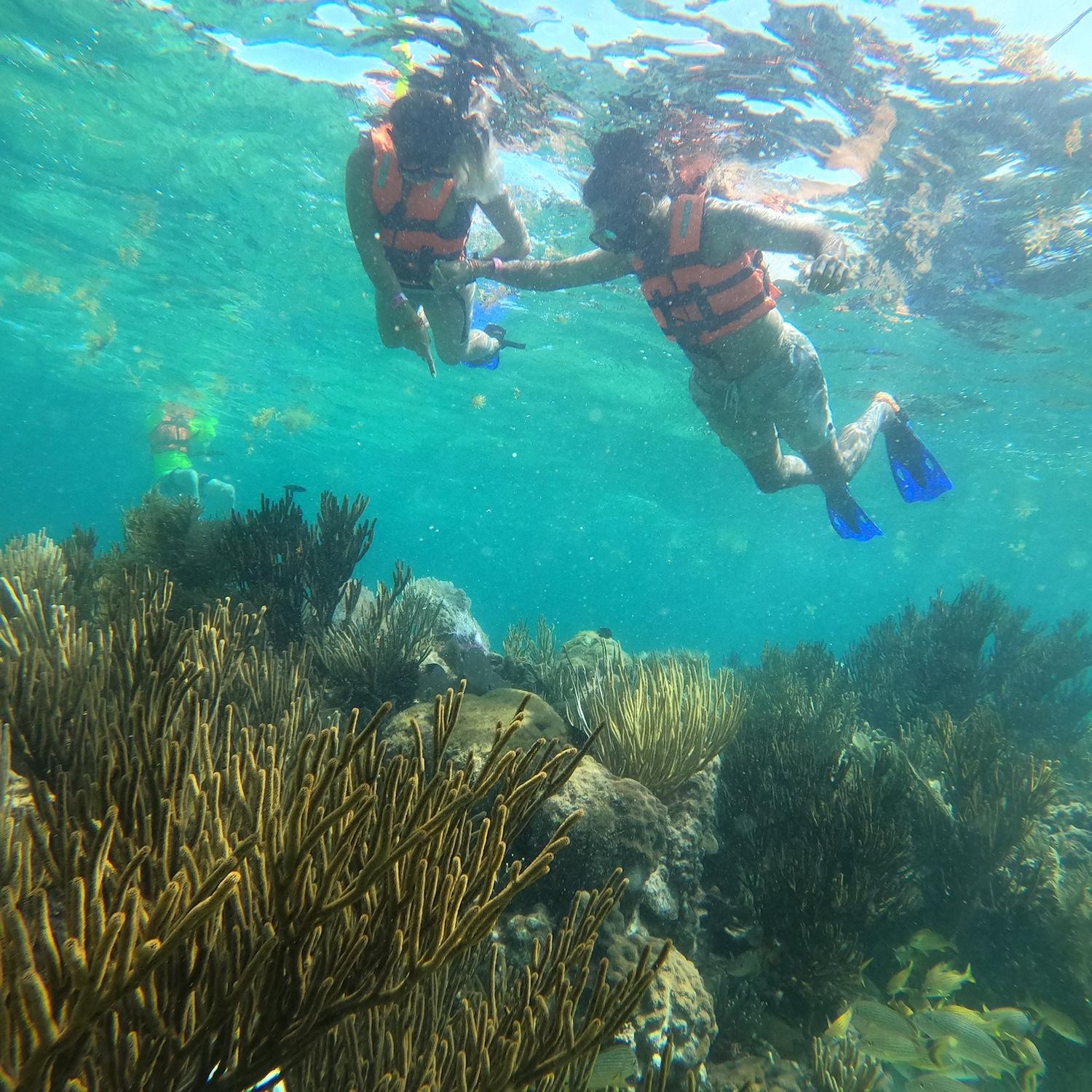 Snorkeling in Cancun, Mexico
July 2022