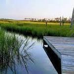 Cradle Creek Preserve