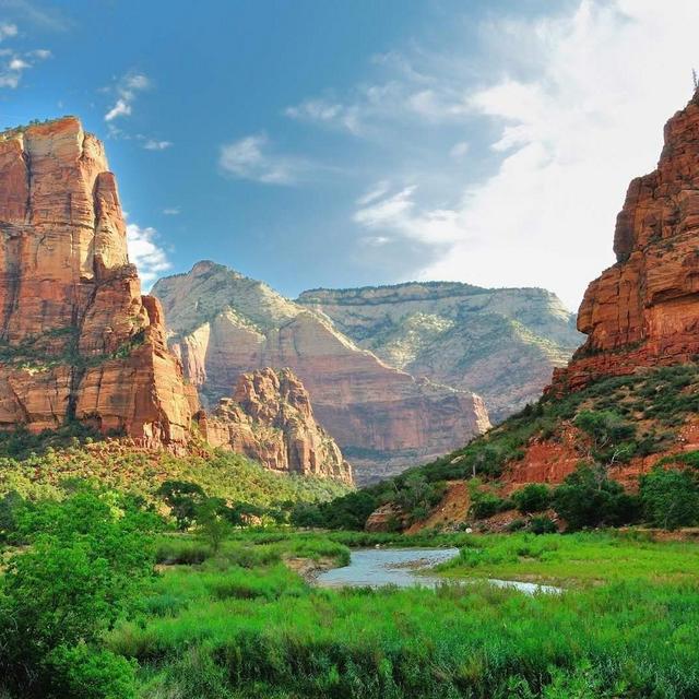 1 Year National Parks Pass