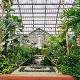 Garfield Park Conservatory