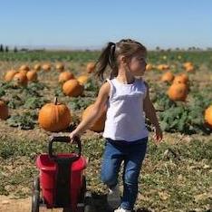 Our little crazy butt getting her pumpkin from the pumpkin patch. (2019)