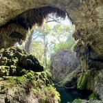 Westcave Outdoor Discovery Center