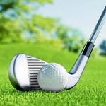Golf at Blue Heron Pines Golf Club