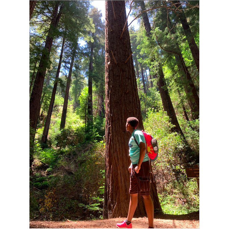 Beza amongst the giant redwoods in Big Sur. These trees are an estimated 2,000 years old!