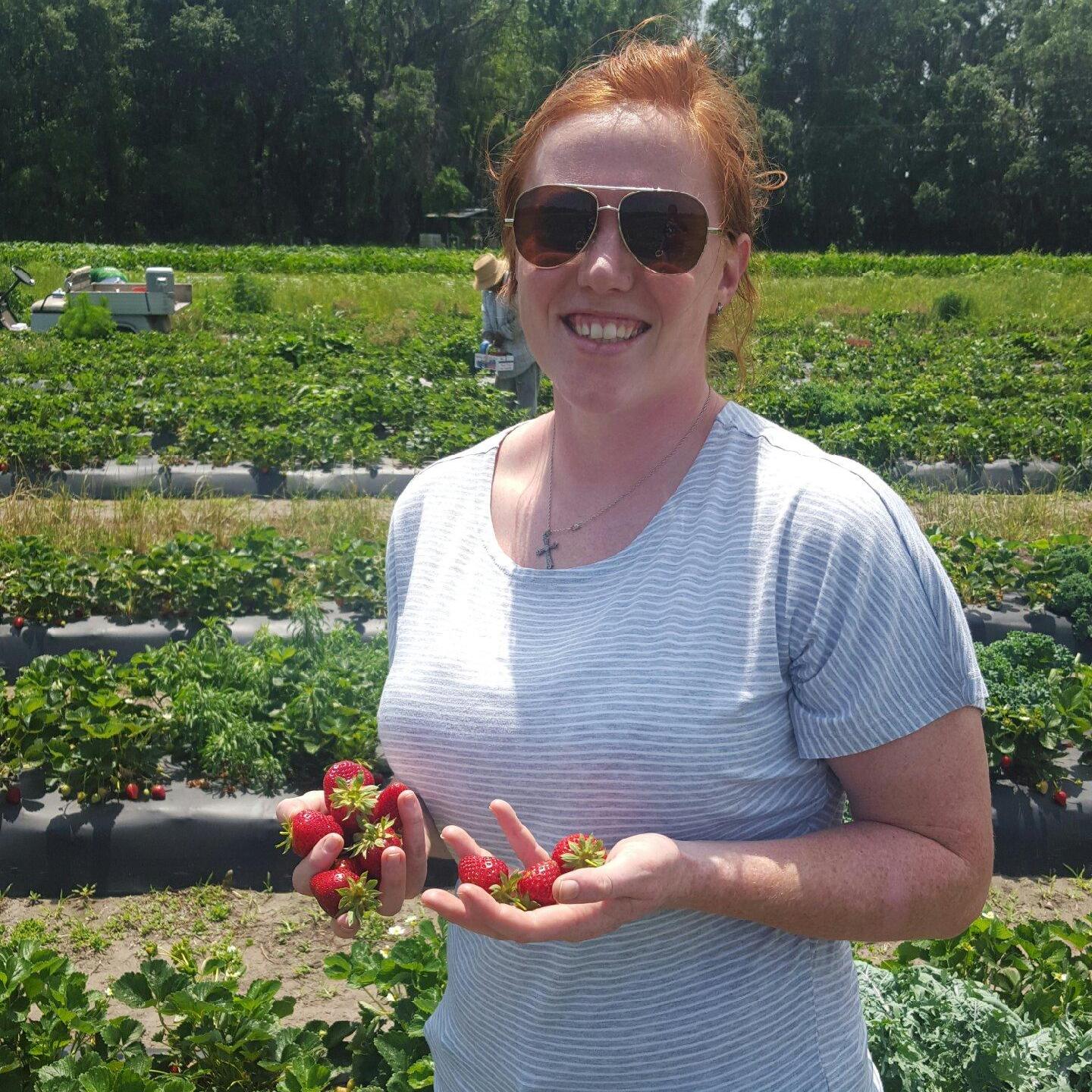 Strawberry pickin!