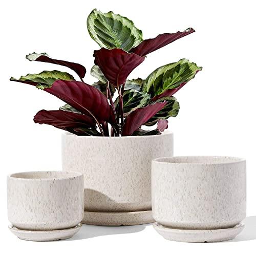 LE TAUCI 4.5" & 5.3" & 6.5" Plant Pots with Drainage Holes and Saucers, Ceramic Pots with Tray, Outdoor Flower Planters, for Snake Plant, Set of 3, Reactive Glaze Beige
