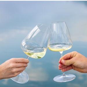 RIEDEL Winewings Sauvignon Blanc