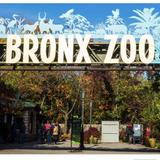 Bronx Zoo