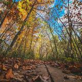 Fernwood Botanical Garden