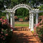 The Frelinghuysen Arboretum