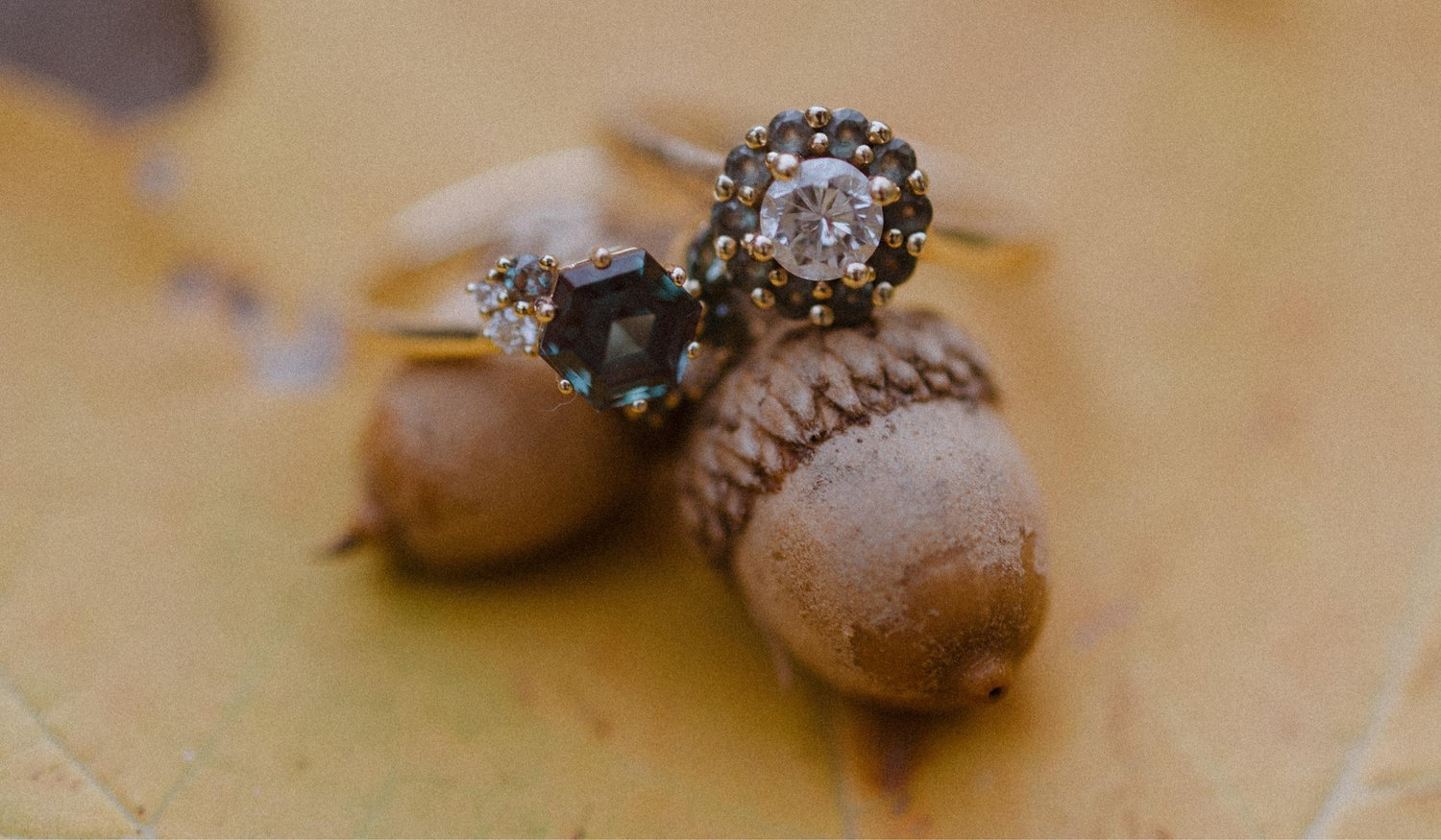 The Wedding Website of Ellie Zimmer and DJ Hakimi