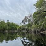 Suwannee Canoe Outpost