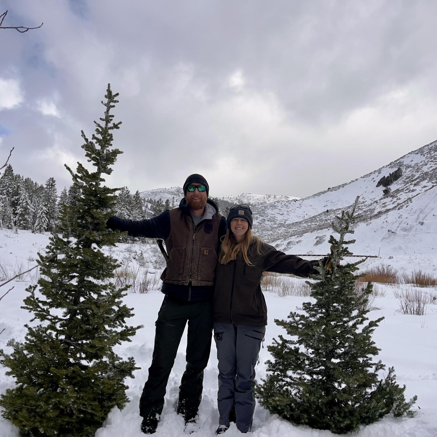 Christmas trees 2025.