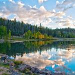 Duck Creek Village