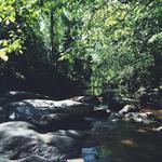 North Bank Trail