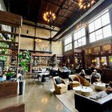 Backstory Coffee Roasters - North Loop