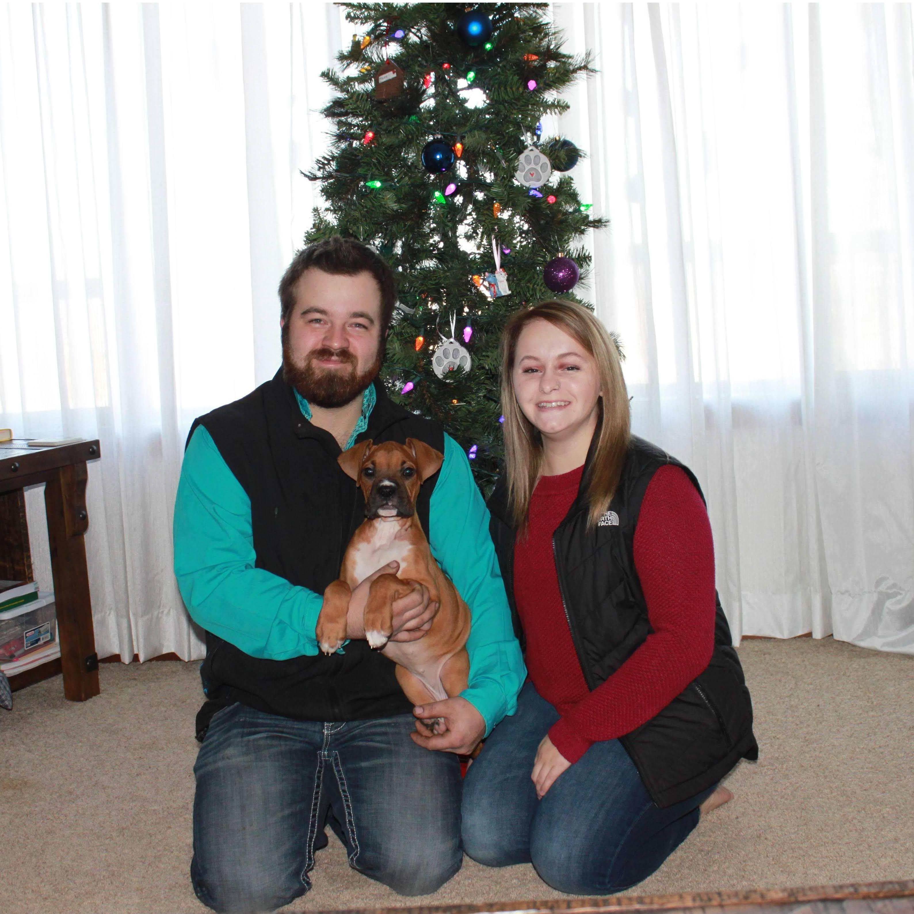 Christmas 2020, our first Christmas with Stella