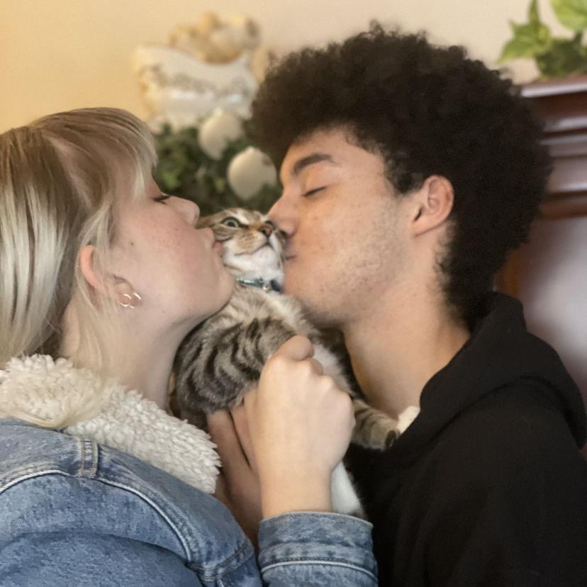 Our first Christmas with our Miso