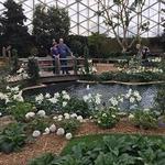 The Domes
