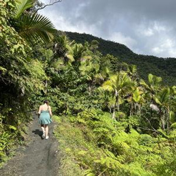 Rainforest Cave Tubing