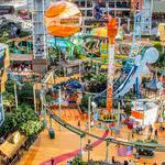 Mall of America®